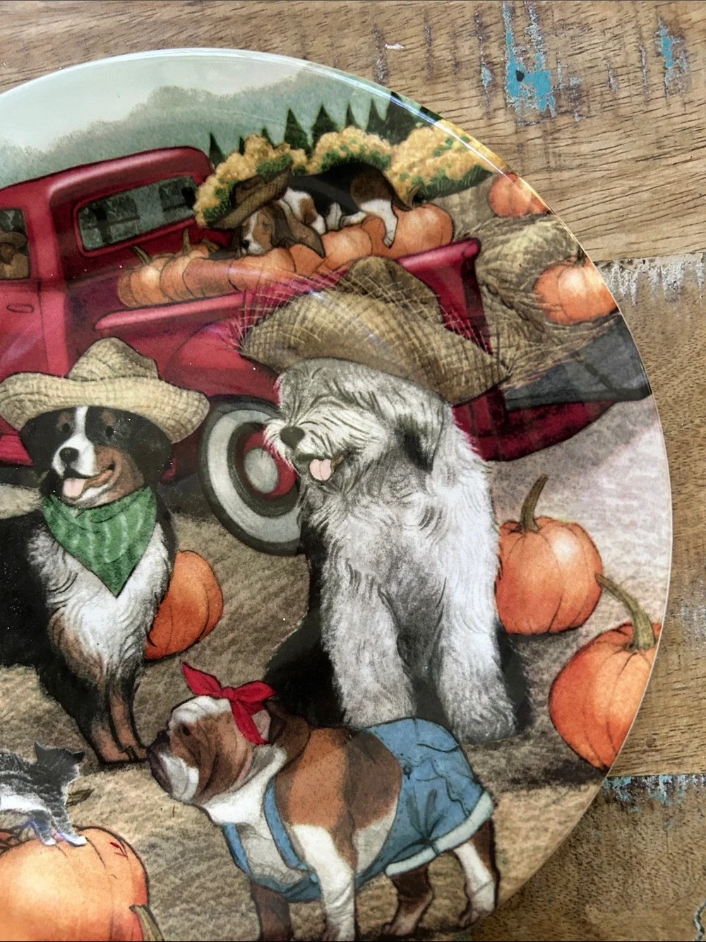 Seasonal Dog & Pumpkin 6 Decorative Plate - Red Truck Design. Great for fall.